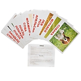 Набор больших обучающих карточек "Мои первые знания"