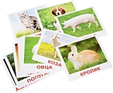 Набор бльших обучающих карточек 20 шт. "Домашние животные"
