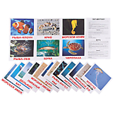 Набор больших обучающих карточек 20 шт. "Обитатели воды"