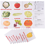 Набор больших обучающих карточек 20 шт. "Овощи"