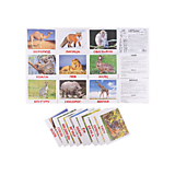 Набор больих обучающих карточек 20 шт. "Дикие животные"