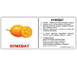 Набор карточек МИНИ-40 "Фрукты" с фактами