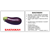 Набор карточек МИНИ-40 "Овощи" с фактами