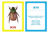 Логопедические карточки "Логопедка "Ж""