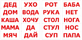 Набор обучающих карточек "Чтение по Доману 1"